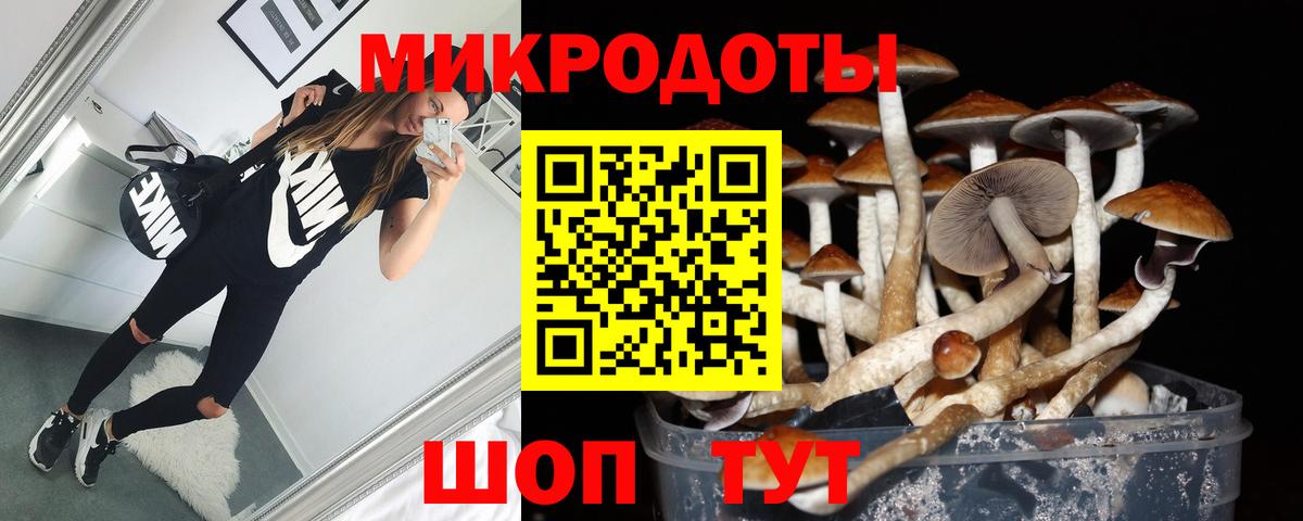 Галлюциногенные грибы прущие грибы Лениногорск