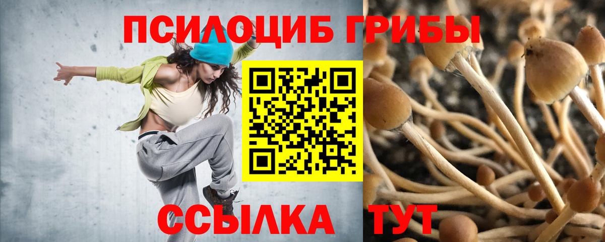 Псилоцибиновые грибы мухоморы  закладка  Лениногорск  Вход с VPN 